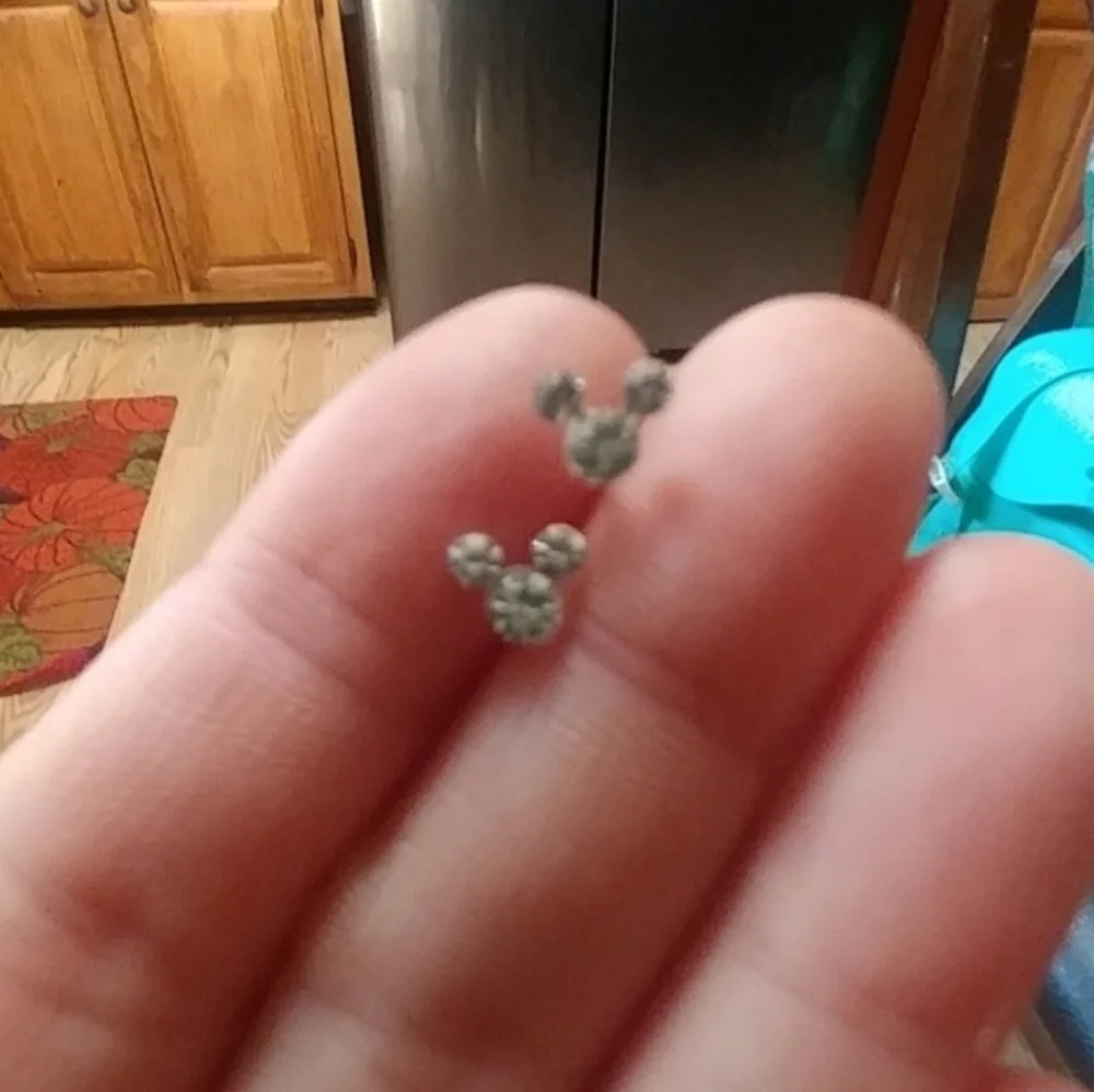 ❤️10/$13 New Silvertone Mickey Mouse Stud Earrings